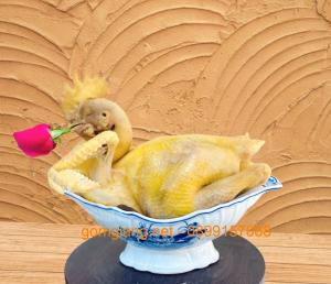 BÁT ĐỰNG GÀ - 07